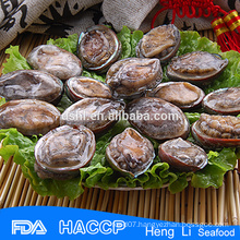 Frozen abalone meat